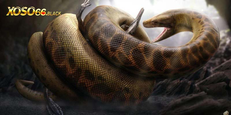 Ngủ mơ thấy rắn khổng lồ