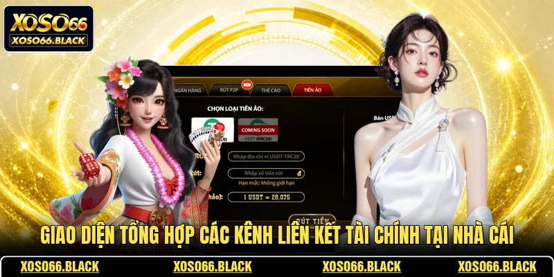 Giao diện tổng hợp các kênh liên kết tài chính tại nhà cái