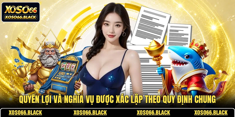 Quyền lợi và nghĩa vụ được xác lập theo quy định chung