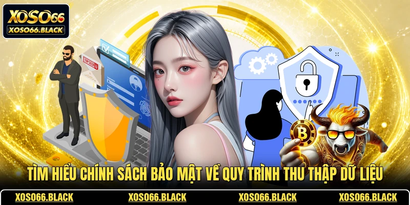 Tìm hiểu chính sách bảo mật về quy trình thu thập dữ liệu